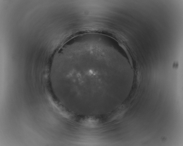 X0000114180546200910081501