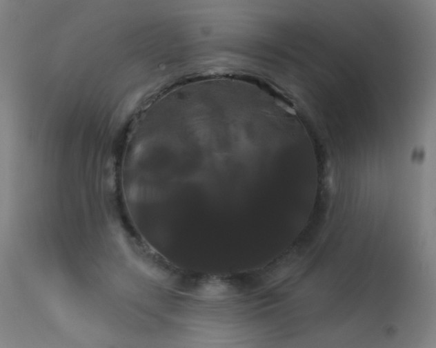 X0000114180547200910081501