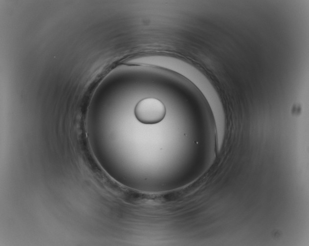 X0000114180548200910081501