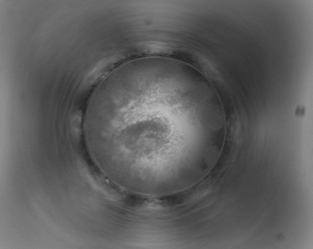 X0000114180550200910081501