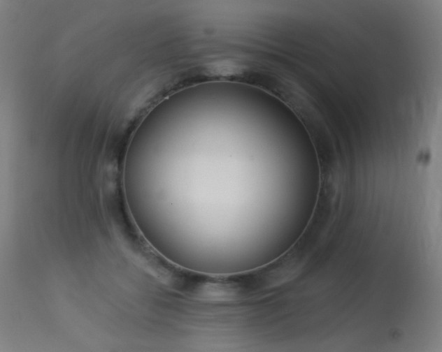 X0000114180556200910081501