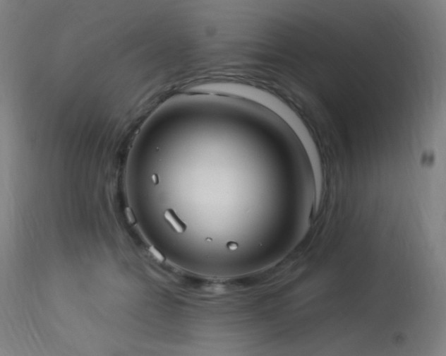 X0000114180558200910081501