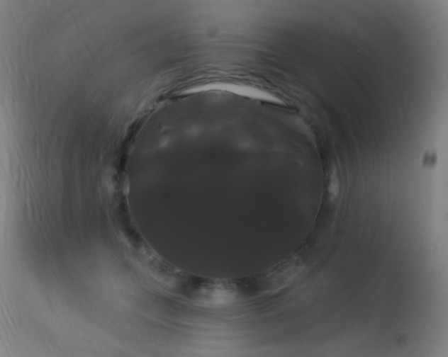 X0000114180559200910081501