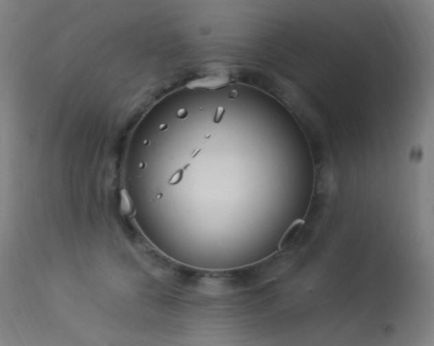 X0000114180560200910081501