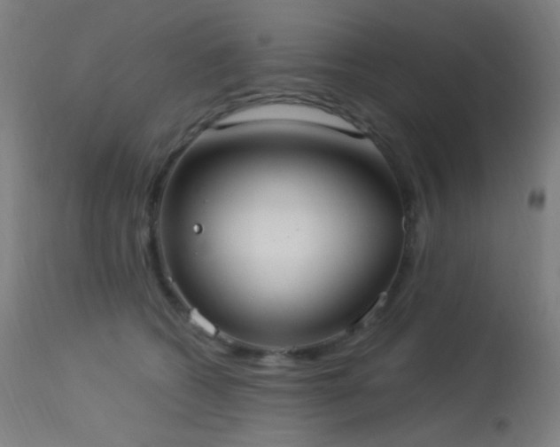 X0000114180562200910081501