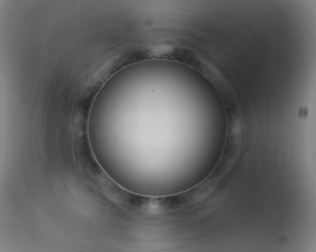 X0000114180565200910081501