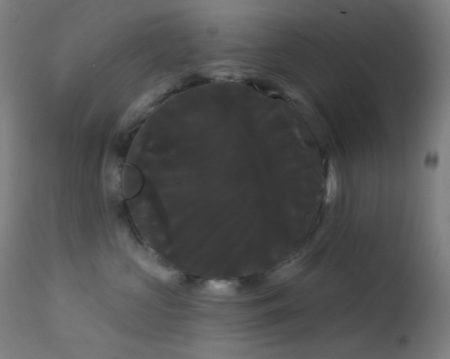 X0000114180573200910081501