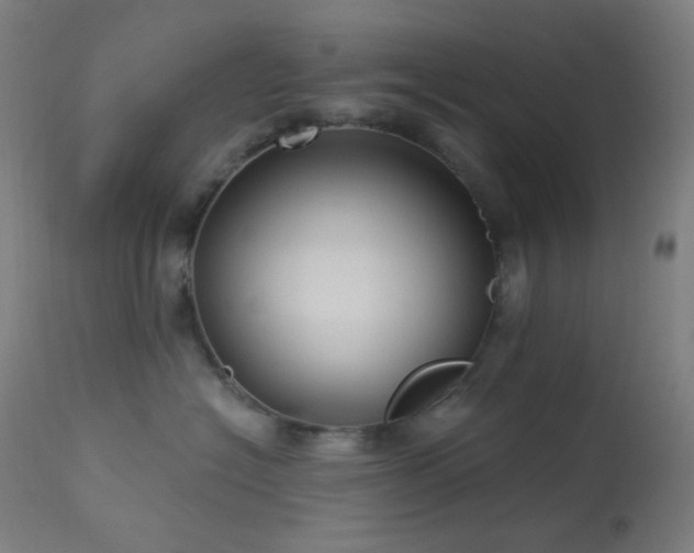 X0000114180574200910081502