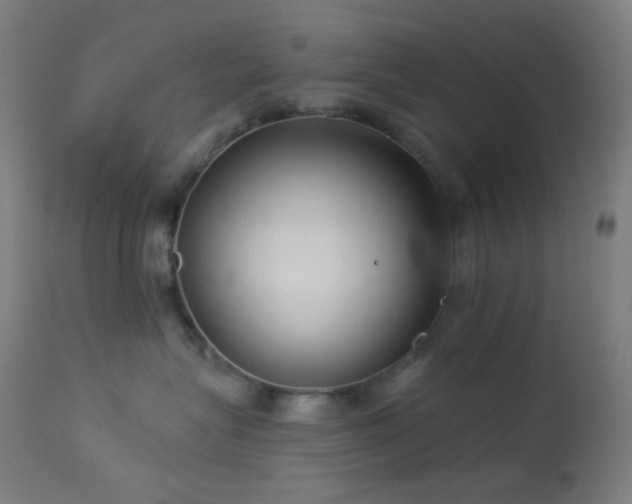 X0000114180575200910081502