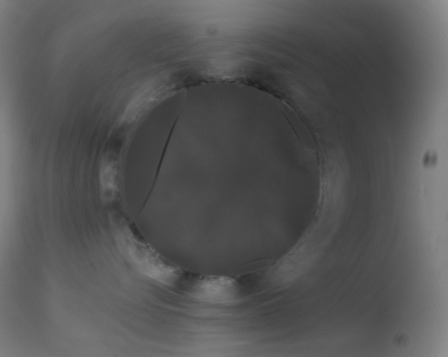 X0000114180576200910081502