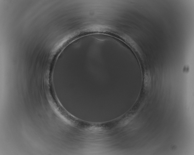 X0000114180581200910081501