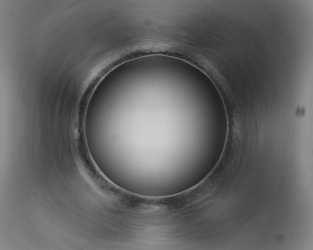 X0000114180582200910081501