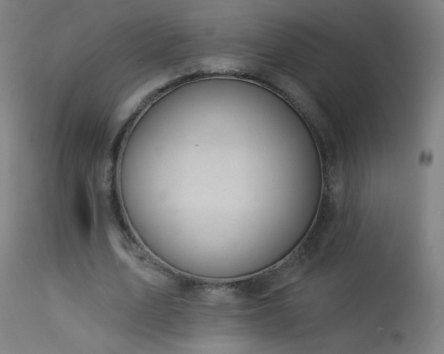 X0000114180583200910081501
