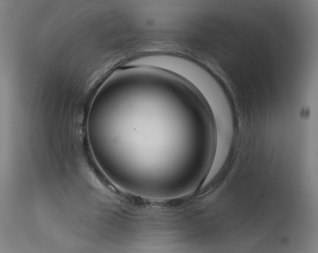 X0000114180585200910081501