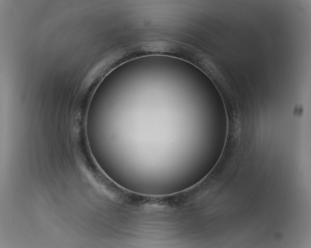 X0000114180586200910081501
