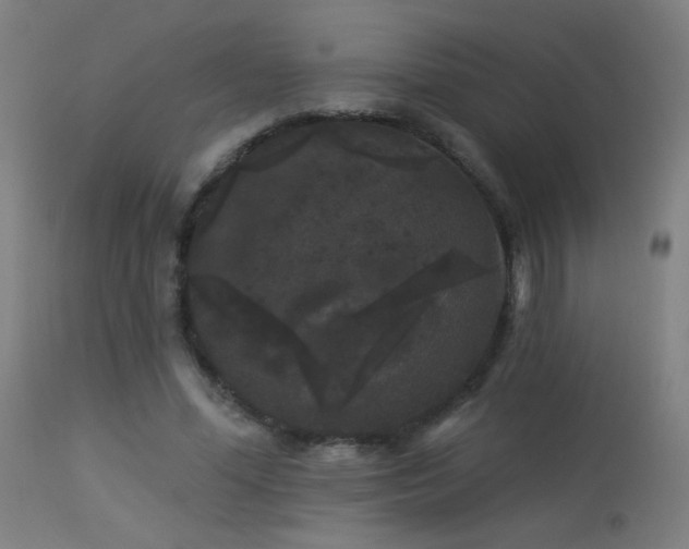 X0000114180588200910081501