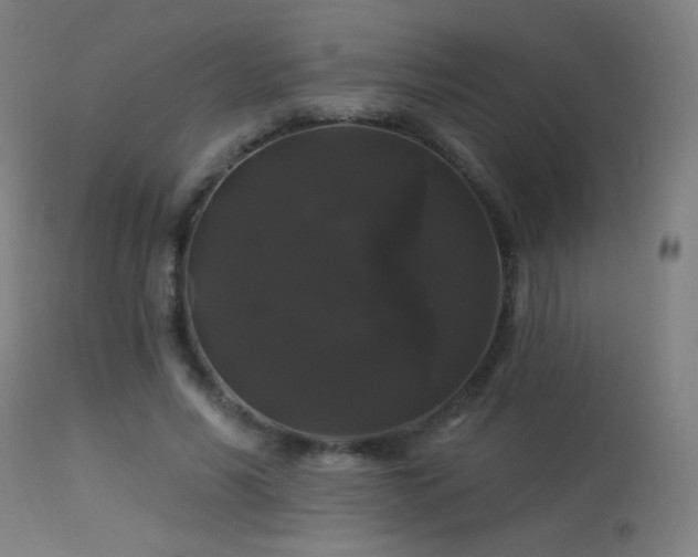 X0000114180590200910081501