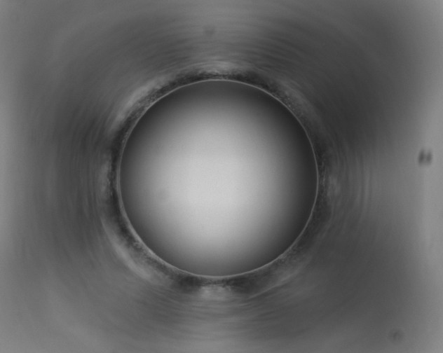 X0000114180591200910081501