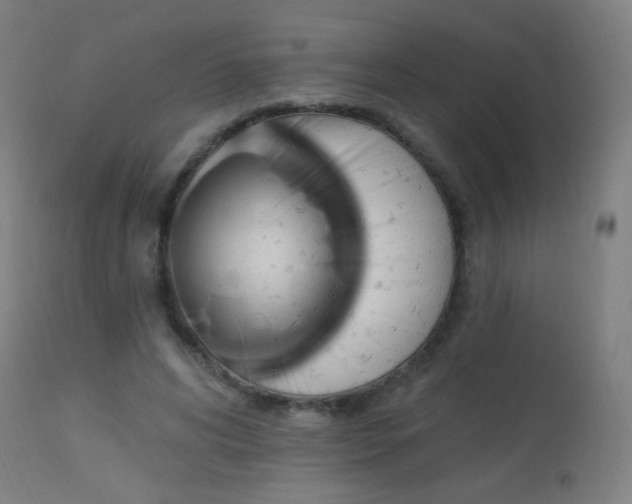 X0000114180592200910081501