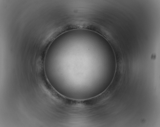 X0000114180594200910081501