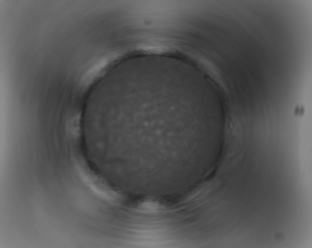 X0000114180596200910081501