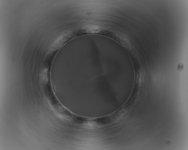 X0000114180598200910081501