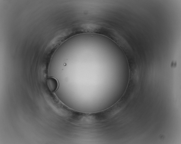 X0000114180599200910081501