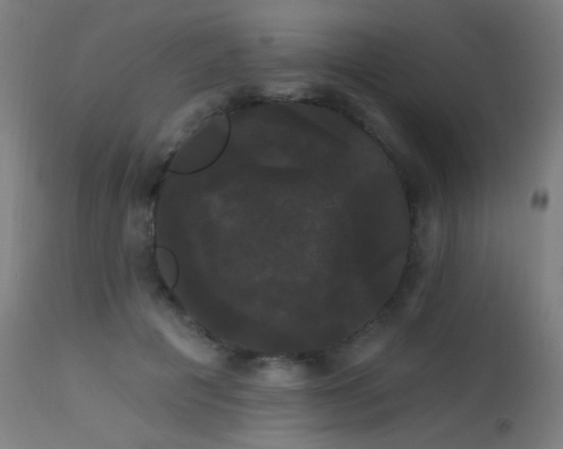 X0000114180601200910081501