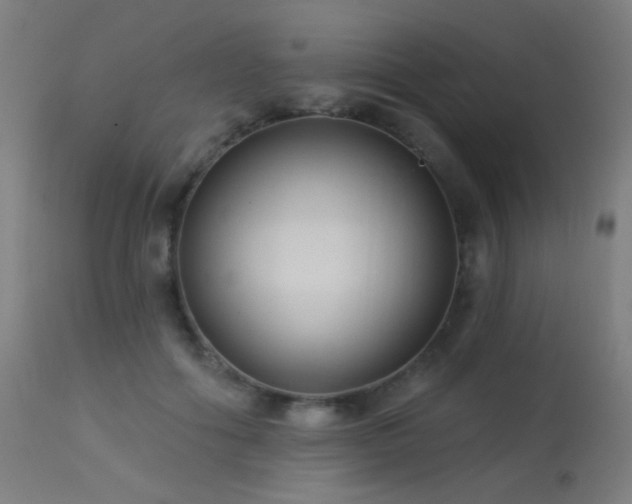 X0000114180602200910081501