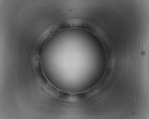 X0000114180604200910081500