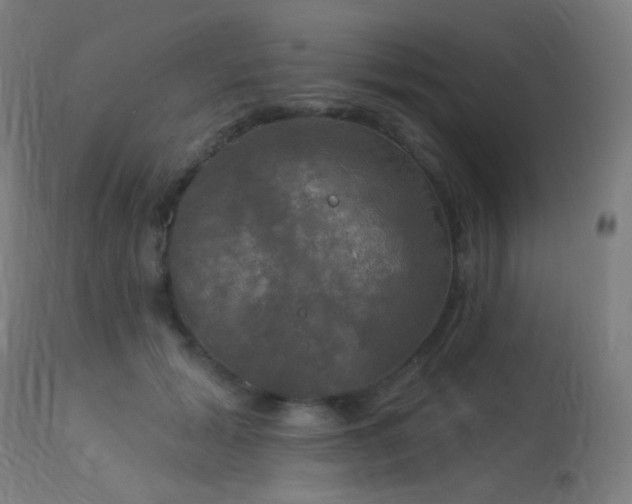 X0000114180605200910081500