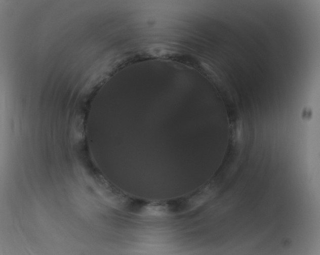 X0000114180606200910081500