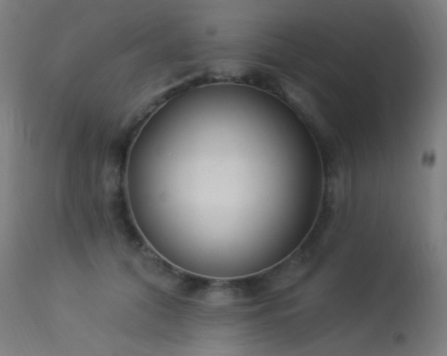 X0000114180608200910081500