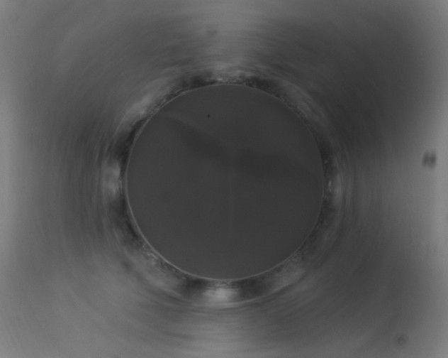 X0000114180610200910081500