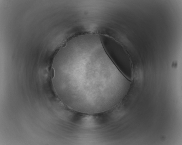 X0000114180611200910081500