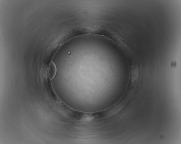 X0000114180613200910081500