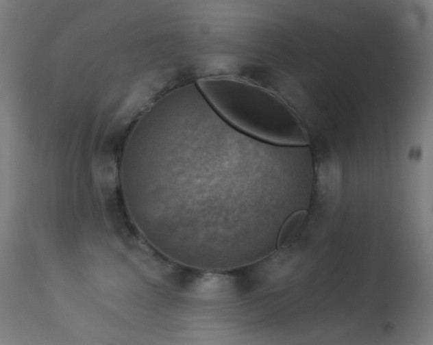 X0000114180617200910081500