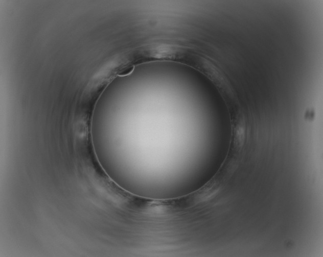 X0000114180620200910081500