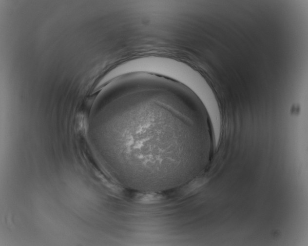 X0000114180621200910081500