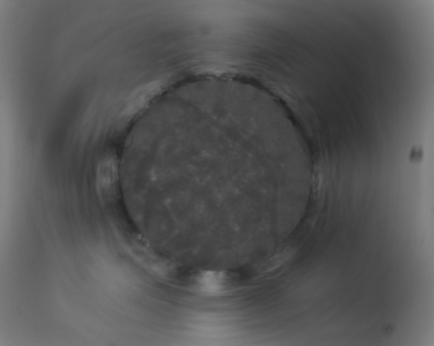 X0000114180623200910081500