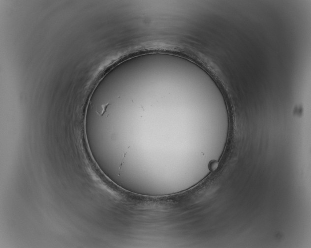 X0000114180625200910081500