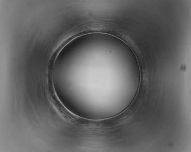 X0000114180626200910081500