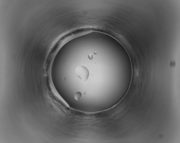 X0000114180628200910081500