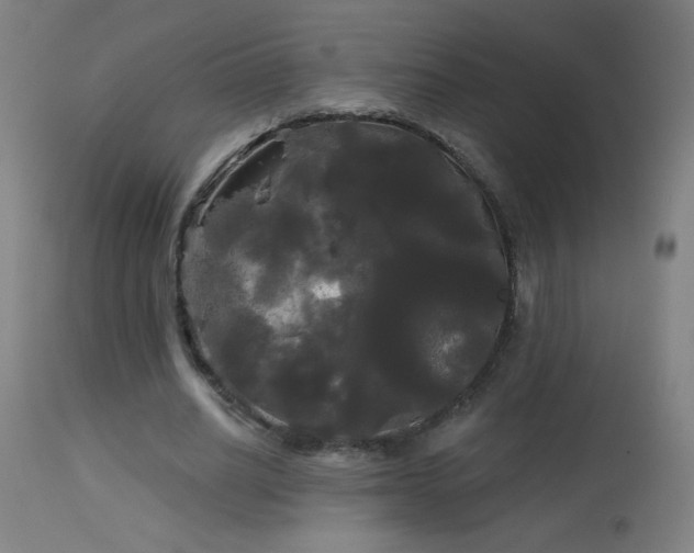 X0000114180630200910081500