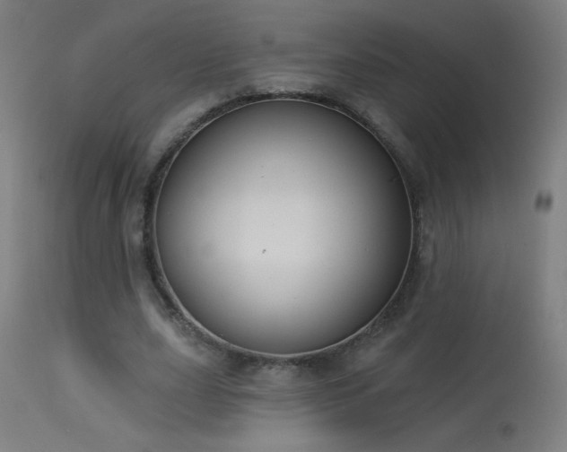 X0000114180631200910081500
