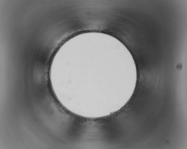 X0000114180632200910081500
