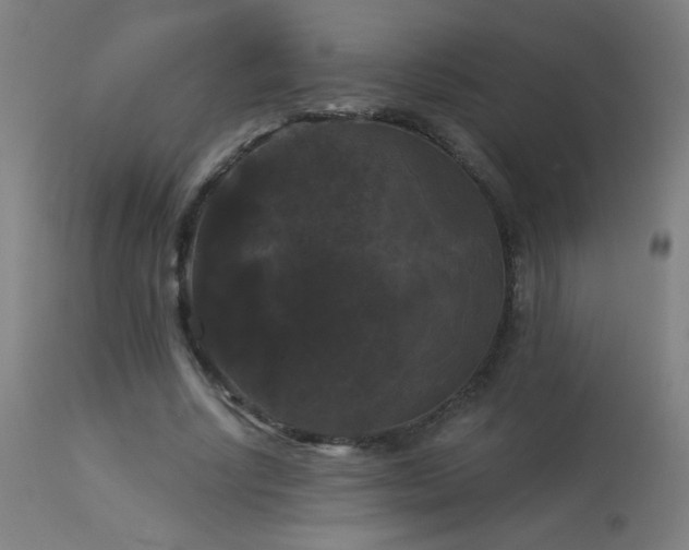 X0000114180634200910081500