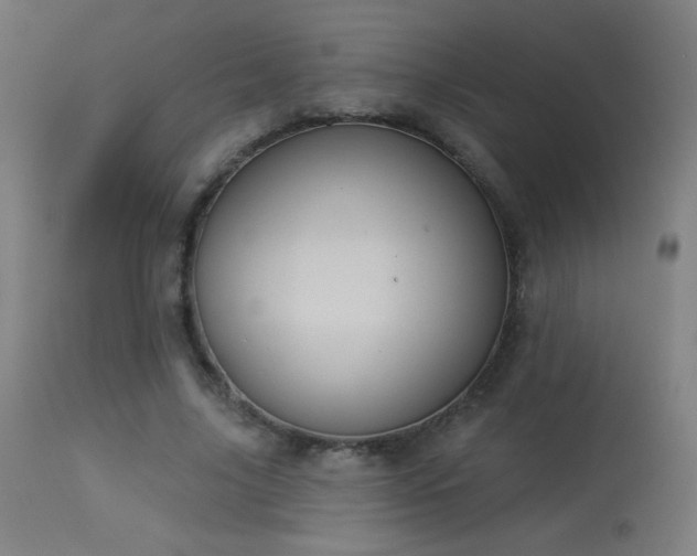 X0000114180635200910081500