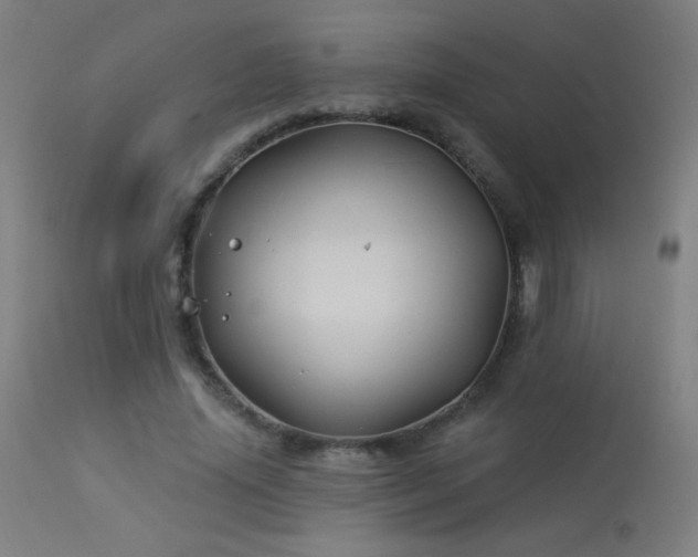 X0000114180636200910081500