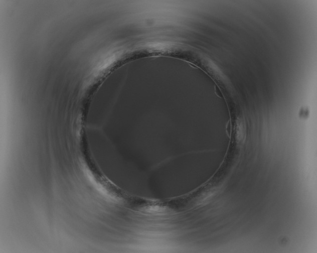 X0000114180637200910081500